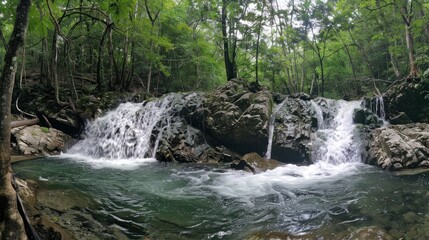 Wall Mural - Waterfall in the Forest