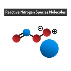 Wall Mural - Reactive Nitrogen Species Molecules - Their Biological Roles and Impacts on Health