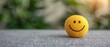 © Mikus - A yellow smiley face ball atop a wooden table against a backdrop of blurred green leaves