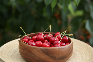 Wall Mural - Tasty ripe red cherries in wooden bowl outdoors, space for text