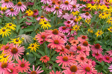 Sticker - mixed flowers