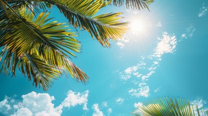 Palm leaves under bright blue sky with sunlight and clouds