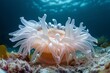 © Wuttichaik - Anemone under the sea, coral anemone underwater in ocean sea.