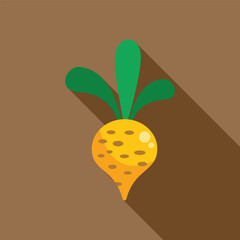 Wall Mural - Single yellow turnip root vegetable with green leaves on a brown background