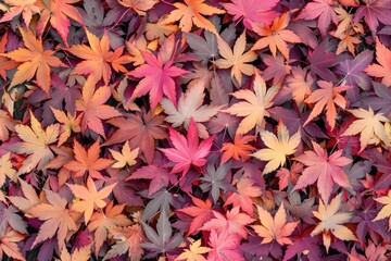 Sticker - A pile of fallen autumn leaves on the forest floor, great for autumn themed designs or environmental projects