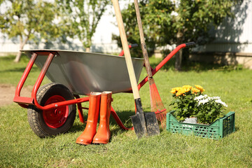 Wall Mural - Wheelbarrow with different beautiful flowers, rubber boots and gardening tools outdoors