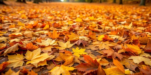 Wall Mural - Large carpet of leaves on the ground in autumn Creative AI