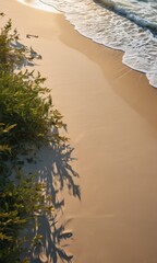 Poster - Seaweed on Sandy Beach with Foamy Wave