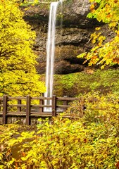 Wall Mural - Silver Falls state Park, Bridge over Silver Creek and South Falls.  Maple trees are showing peak fall color.  Near Silverton, Oregon.