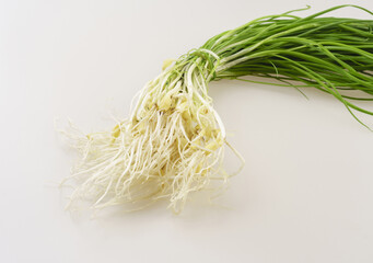 Wall Mural - Close-up of trimmed fresh wild chives with root, stem and leaves on white floor, South Korea
