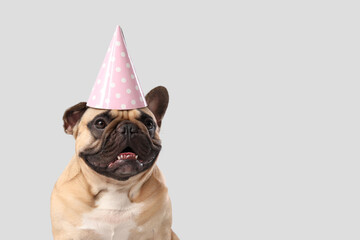 Canvas Print - Cute French bulldog in party hat on grey background