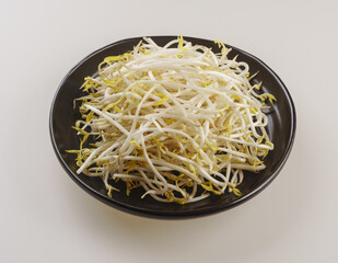 Canvas Print - Close-up of fresh green bean sprouts on a jar, South Korea
