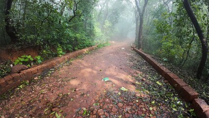 Wall Mural - Idyllic hiking route in Matheran hill station, showcasing the beauty of the surrounding nature