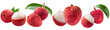© Png - Video - Photo - Set of  Fresh Lychee Fruits with Leaves collection cut out transparent isolated on white background PNG