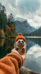 Wall Mural - A person is holding a small animal in their hand, which is wearing an orange hat