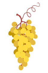 Wall Mural - simple yellow grapes bunch isolated on white.