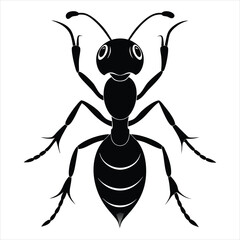 Wall Mural - Ant silhouette vector