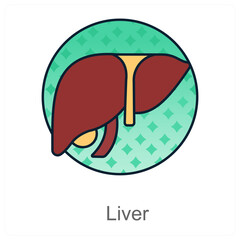 Liver