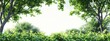 © Mikus - A cluster of trees lined up against a backdrop of a white sky adorned with clouds