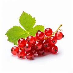 Wall Mural - red currants on a string on a white background