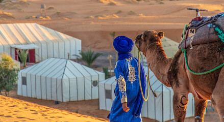 A vibrant desert camp with traditional Moroccan tents, adorned with colorful rugs and cushions. Palm trees and drums create a lively atmosphere, set against a backdrop of rolling hills and a clear blu