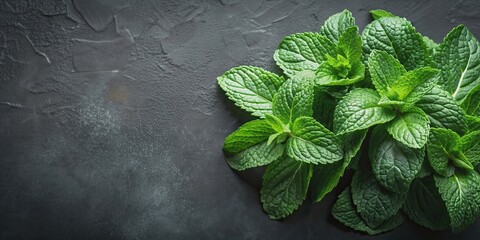 Fresh mint leaves on a dark black background, mint, leaves, fresh, herbs, aroma, refreshing, green, growth, plant, culinary