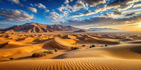 Wall Mural - Desolate valley surrounded by sand dunes in the desert, arid, dry, barren, landscape, wilderness, remote, serene, tranquil