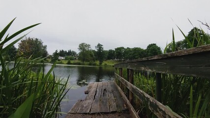 Wall Mural - Old wooden pier surrounded by greenery on the shore of Lake Pastovis on a cloudy day, Lithuania