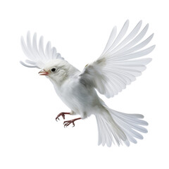 Wall Mural - white bird flying isolated on transparent background cutout