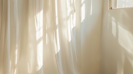 Wall Mural - Light and shadows on white wall from curtain and objects Sunlight space for text