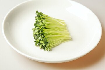 Wall Mural - Close-up of fresh radish sprouts on white dish, South Korea
