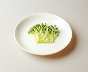 Canvas Print - Close-up and top angle view of fresh radish sprouts on white dish, South Korea
