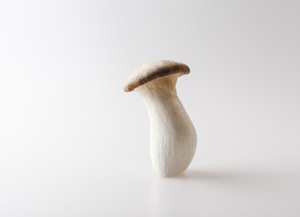 Canvas Print - Close-up of a fresh King Oyster Mushroom standing on white floor, South Korea
