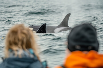 Sticker - Family on a whale-watching trip