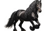© Muzamil - Black Friesian horse transparent background.