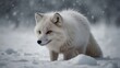 © Василь Тігай - Majestic Arctic Fox in Winter Snow