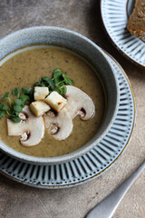 Sticker - mushroom soup puree with champignon mushrooms