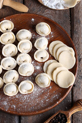 Poster - cooking homemade dumplings for healthy eating