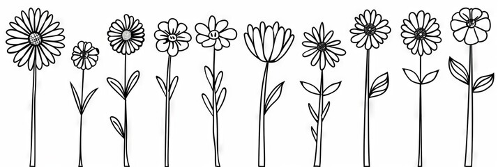 Wall Mural - This is a hand drawn black and white flower paint set. There are flowers and leaves drawn in ink.