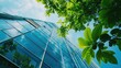 © SANDJAYA - Eco-friendly building in the modern city. Green tree branches with leaves