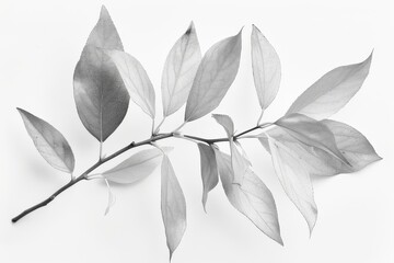 Poster - Minimalist Grey Leaf Illustration on White Background