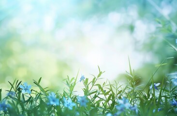 green grass field with wild flowers, white sky background, blurred background