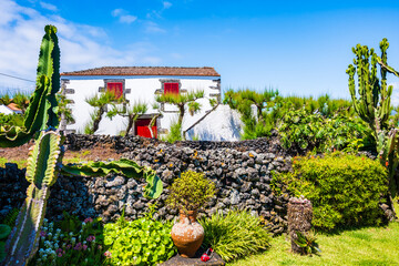 Wall Mural - Traditional house and garden with cactus and tropical plants, Pico island, Azores, Portugal