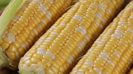 Poster - uncooked corn maize texture food rotation