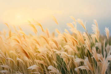 Wall Mural - Grass flower landscape outdoors nature.