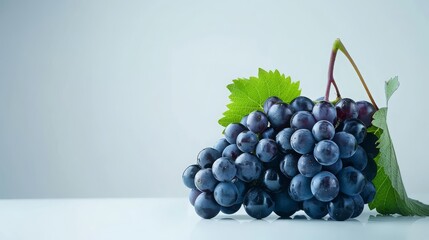 Wall Mural - Fresh, ripe blue grapes with leaves on a white background.  Concepts. healthy eating, antioxidants, vitamins, and fresh produce.