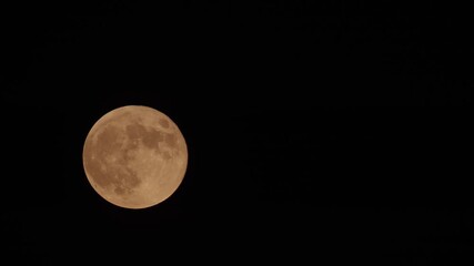 moon in the night