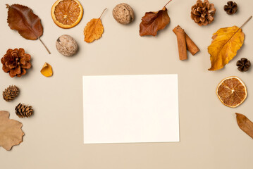 Paper blank sheet with autumn frame from leaves, nut, cones, dried fruits, cinnamon sticks on beige background. Top view, space for text