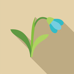 Wall Mural - Single blue snowdrop flower is growing on a light brown background with a long shadow