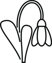 Wall Mural - Minimalistic elegant snowdrop flower icon drawn with thin line on white background